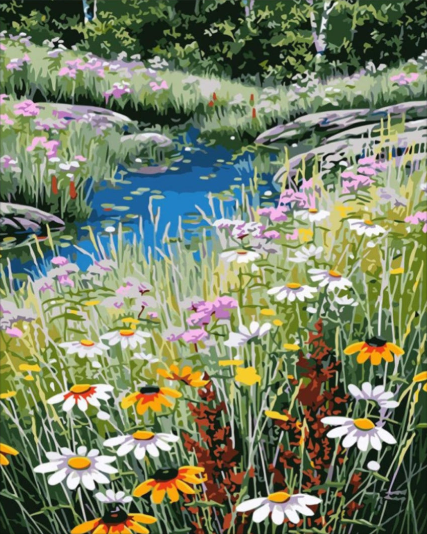 Vadvirágok - számfestő készlet