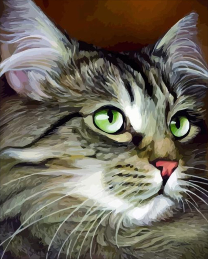 Zöld szemű cica - számfestő készlet