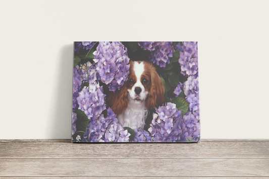 Kutya És Virágok - számfestő készlet