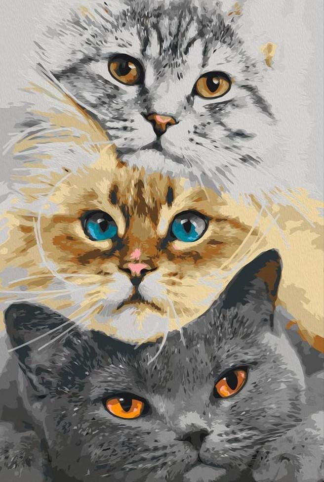 Macskák - számfestő készletek
