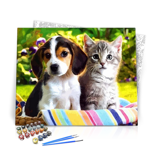 Cica-kutyus barátság - számfestő készlet