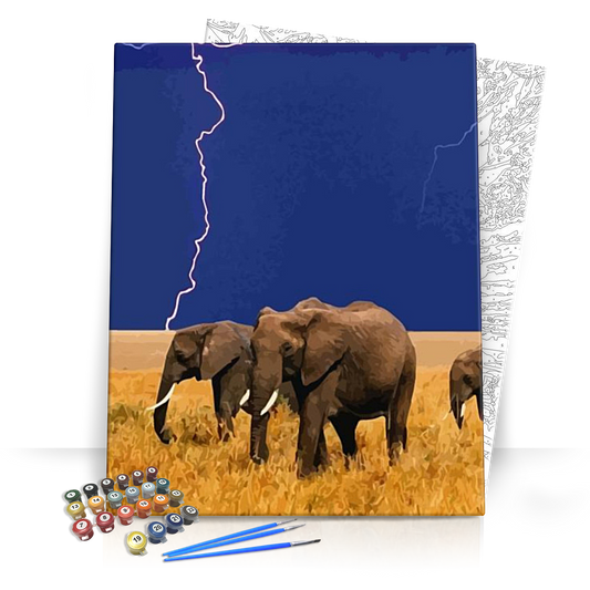 Elefántok a mezőn - számfestő készlet