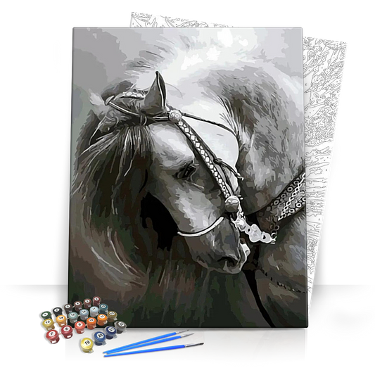 Fáradt paripa - számfestő készlet