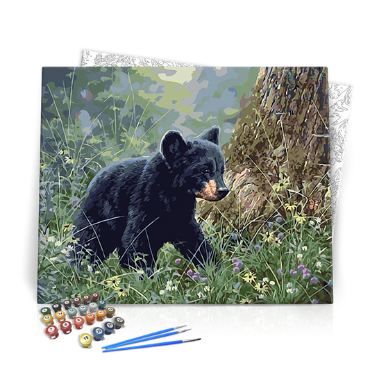 Felfedező medvebocs - számfestő készlet