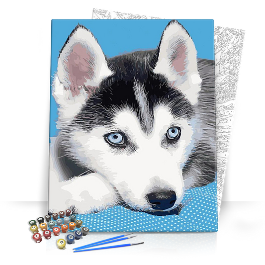 Husky kölyök - számfestő készlet