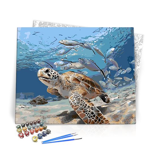 Teknős a víz alatt - számfestő készlet