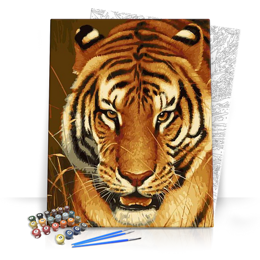 Tigris tekintet - számfestő készlet