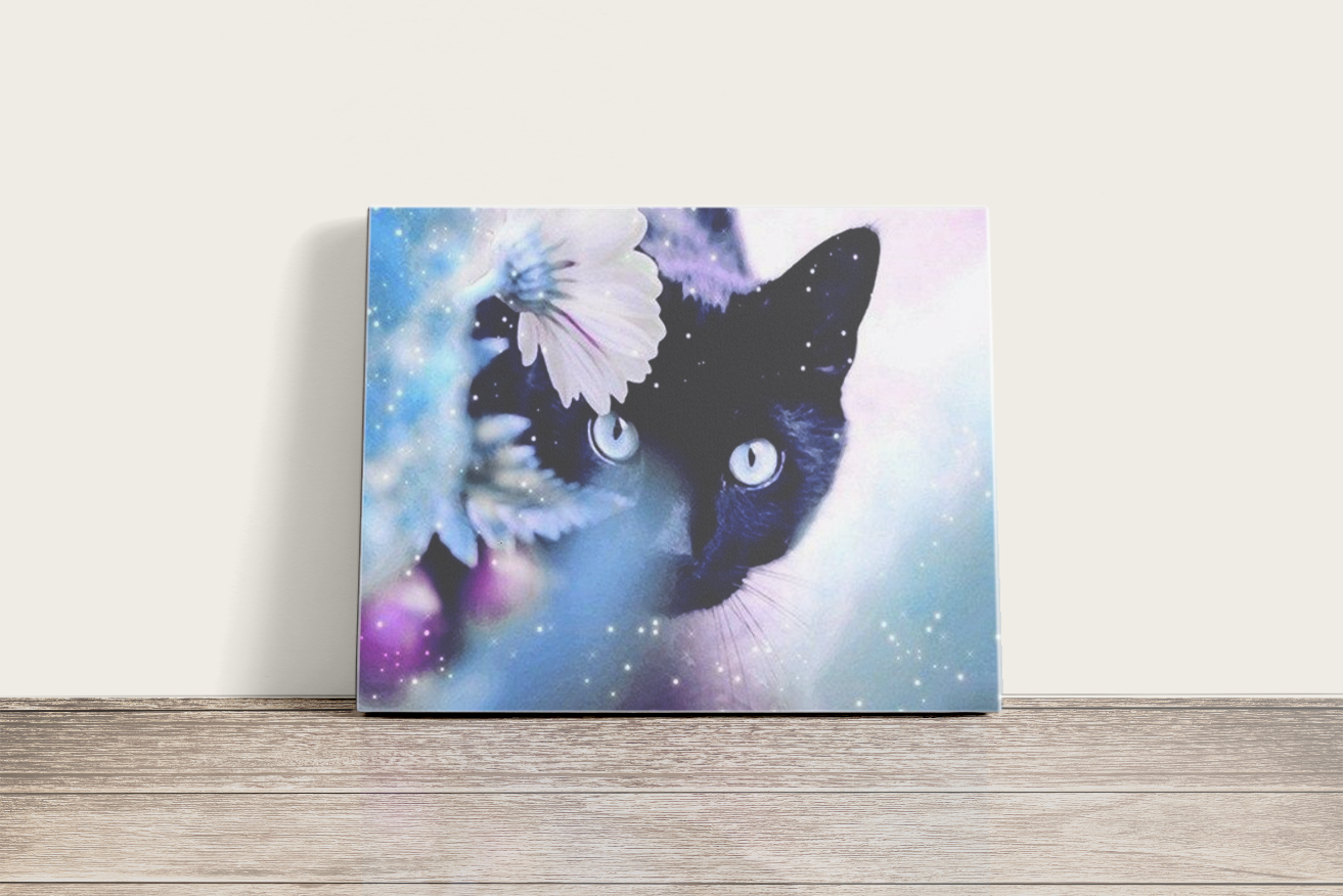 Fekete Macska a Virág Mögött - számfestő készlet