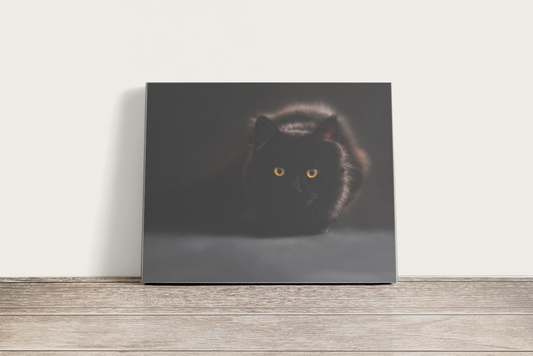Fekete macska - vászonkép