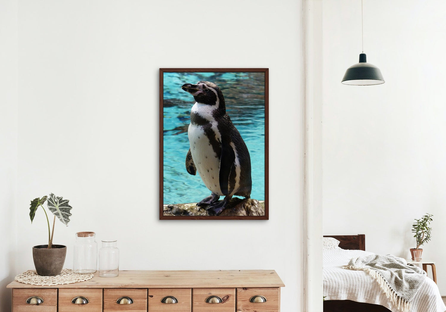 Pingvin - vászonkép