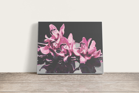 Rózsaszín Orchidea - számfestő készlet