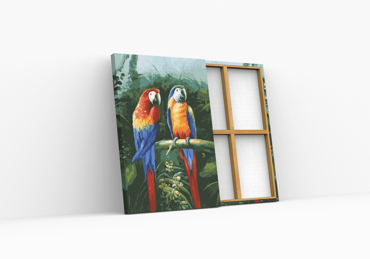 Színes Papagájok - számfestő készlet